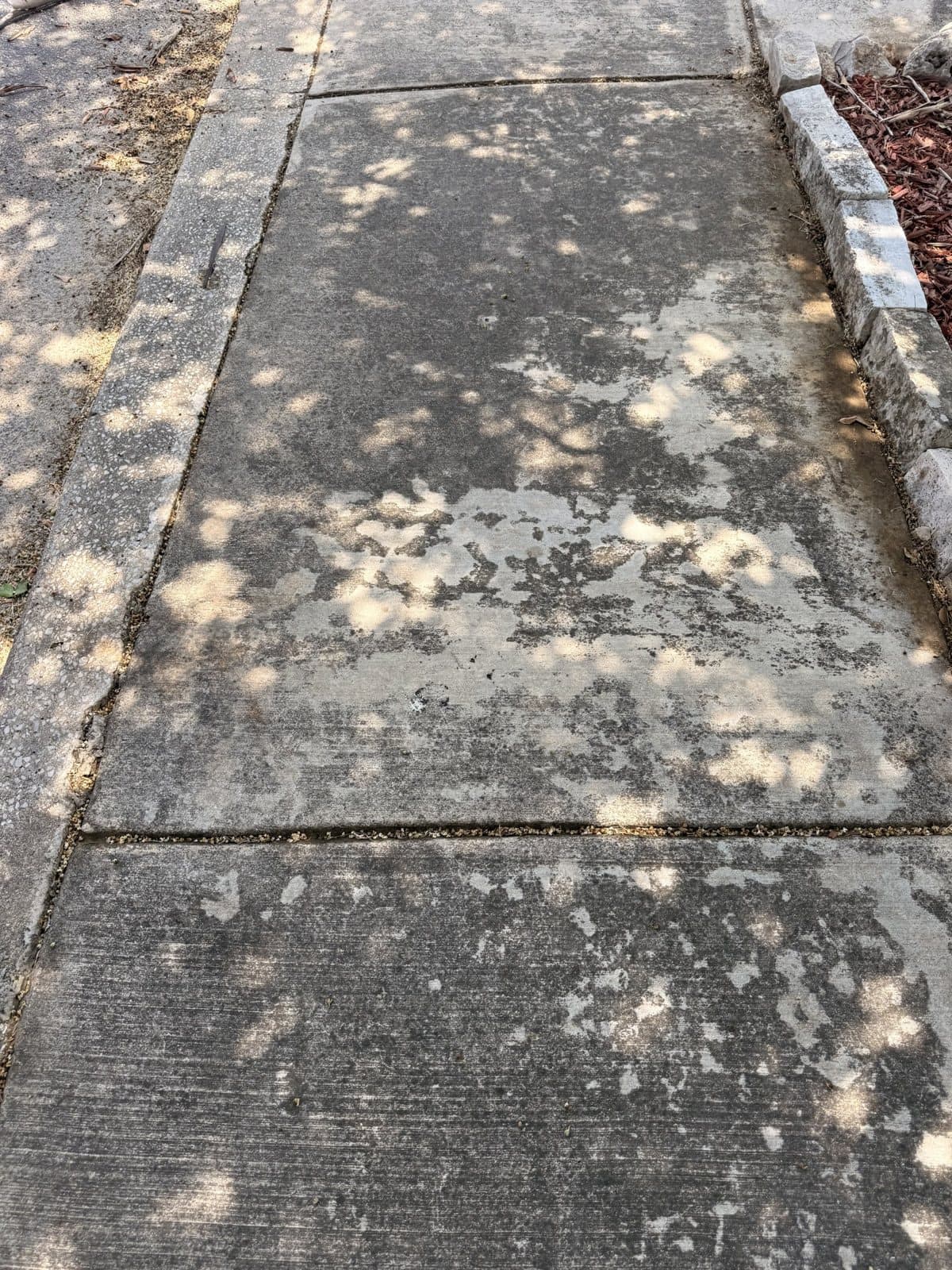 Residential driveway before pressure washing, heavy dark algae and dirt staining across the concrete